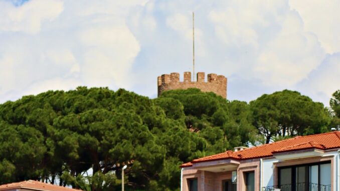uploaded-image-ayvalik-belediye-baskani-1696949129682