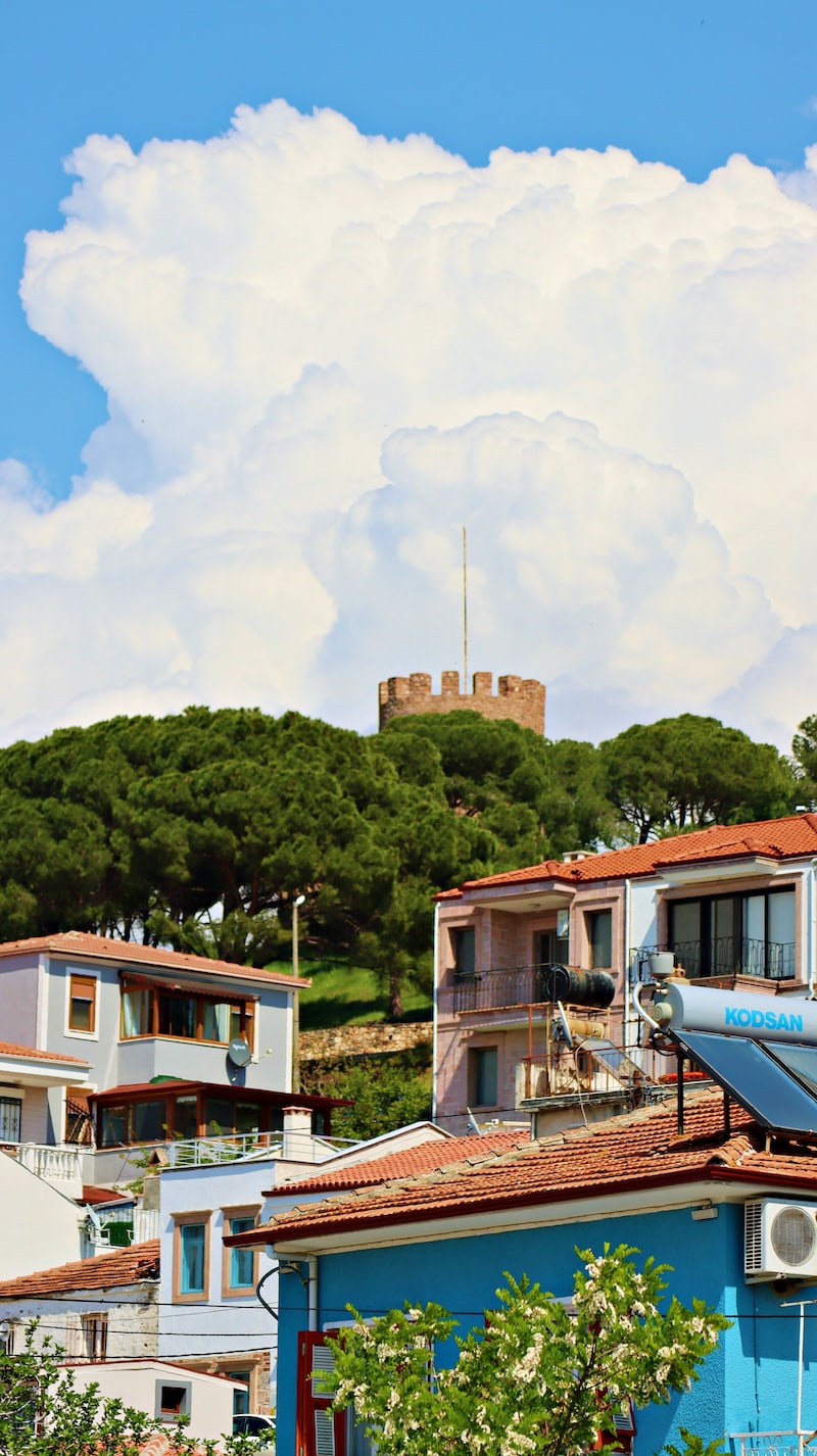 ayvalık belediye başkanı ayvalık belediye başkanı