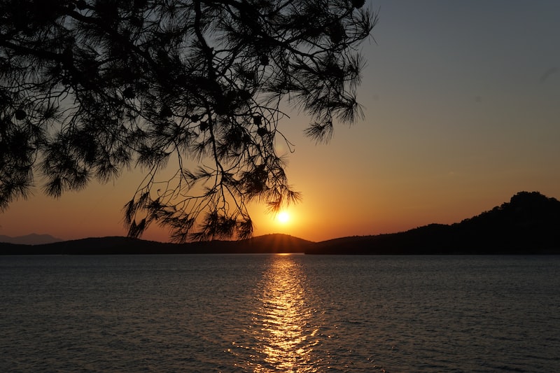 ayvalık canlı müzik ayvalık canlı müzik