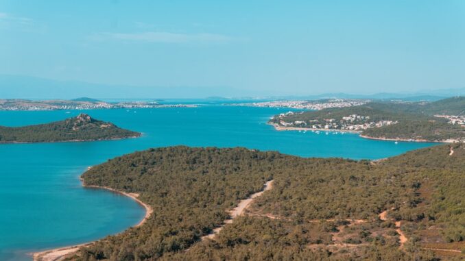 uploaded-image-ayvalik-dalis-1696949141419