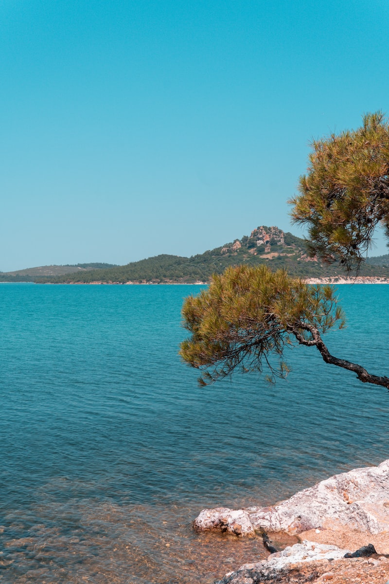ayvalık deniz suyu sıcaklığı ayvalık deniz suyu sıcaklığı
