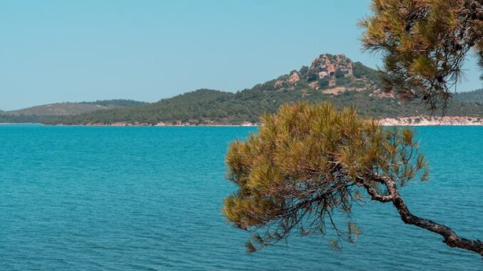 uploaded-image-ayvalik-eczane-1696949149541